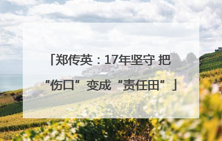 郑传英：17年坚守 把“伤口”变成“责任田”